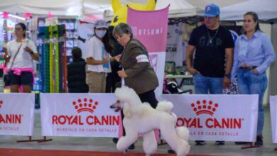 No te pierdas la Expo Canina 2025 en SLP