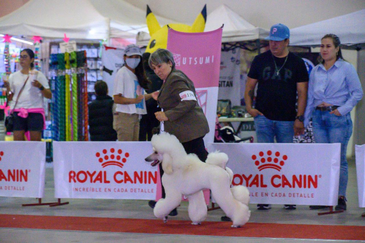 No te pierdas la Expo Canina 2025 en SLP
