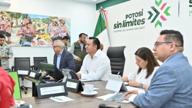 Blinda Gallardo fronteras del Altiplano con operativo aéreo