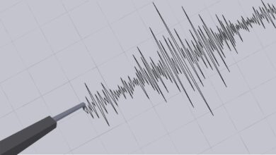 Más de 470 sismos han sacudido Japón desde el sábado