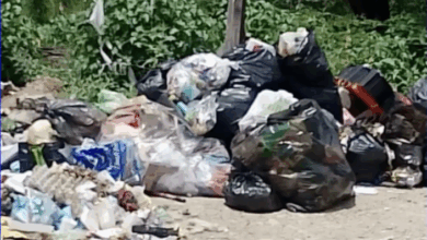 Grave acumulación de basura frente a primaria en la calle Pascual Orozco