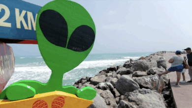 ¿Los alienígenas protegen Tampico? Conoce la famosa leyenda